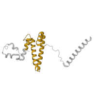 The deposited structure of PDB entry 6nu2 contains 1 copy of Pfam domain PF00312 (Ribosomal protein S15) in Small ribosomal subunit protein uS15m. Showing 1 copy in chain OB [auth AL].