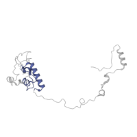 The deposited structure of PDB entry 6nu2 contains 1 copy of Pfam domain PF01084 (Ribosomal protein S18) in Small ribosomal subunit protein mS40. Showing 1 copy in chain RB [auth AO].