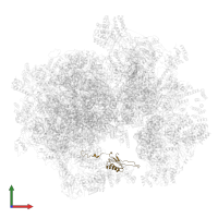 Large ribosomal subunit protein mL48 in PDB entry 6nu2, assembly 1, front view.