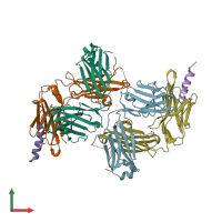 PDB entry 6o3l coloured by chain, front view.