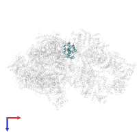 Transcription initiation factor IIE subunit beta in PDB entry 6o9l, assembly 1, top view.