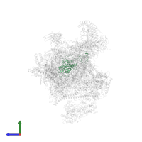 General transcription factor IIH subunit 3 in PDB entry 6o9l, assembly 1, side view.