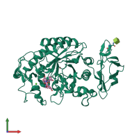 PDB entry 6ocn coloured by chain, front view.