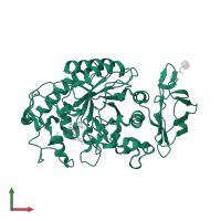 Pancreatic alpha-amylase in PDB entry 6ocn, assembly 1, front view.