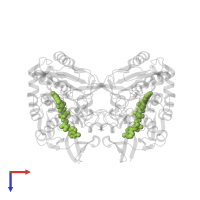 FLAVIN-ADENINE DINUCLEOTIDE in PDB entry 6oi5, assembly 1, top view.