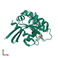 Monomeric assembly 1 of PDB entry 6oim coloured by chemically distinct molecules, front view.