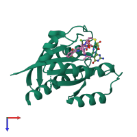 Monomeric assembly 1 of PDB entry 6oim coloured by chemically distinct molecules, top view.