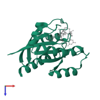 GTPase KRas, N-terminally processed in PDB entry 6oim, assembly 1, top view.