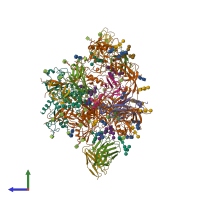 Hetero 14-meric assembly 1 of PDB entry 6okp coloured by chemically distinct molecules, side view.