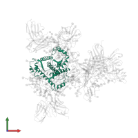 Transmembrane protein gp41 in PDB entry 6okp, assembly 1, front view.