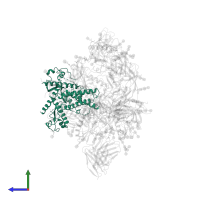 Transmembrane protein gp41 in PDB entry 6okp, assembly 1, side view.