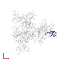 Ig-like domain-containing protein in PDB entry 6okp, assembly 1, front view.