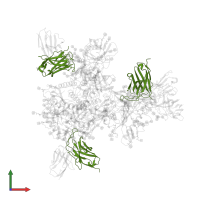 Ig-like domain-containing protein in PDB entry 6okp, assembly 1, front view.