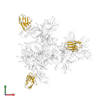 Immunoglobulin kappa constant in PDB entry 6okp, assembly 1, front view.