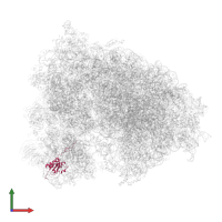 Small ribosomal subunit protein uS9 in PDB entry 6olf, assembly 1, front view.