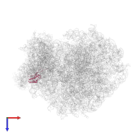 Small ribosomal subunit protein uS9 in PDB entry 6olf, assembly 1, top view.