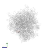 Small ribosomal subunit protein eS28 in PDB entry 6olf, assembly 1, side view.