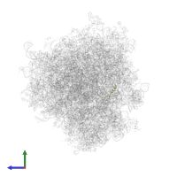 Small ribosomal subunit protein eS30 in PDB entry 6olf, assembly 1, side view.