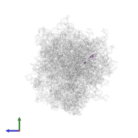 Small ribosomal subunit protein eS27 in PDB entry 6olz, assembly 1, side view.