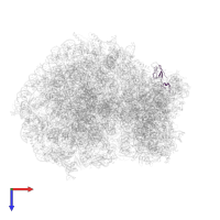Small ribosomal subunit protein eS27 in PDB entry 6olz, assembly 1, top view.