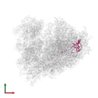 Large ribosomal subunit protein uL4 in PDB entry 6om0, assembly 1, front view.