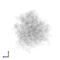 Modified residue M7A in PDB entry 6om0, assembly 1, side view.