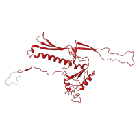 The deposited structure of PDB entry 6oma contains 13 copies of Pfam domain PF05065 (Phage capsid family ) in Major capsid protein. Showing 1 copy in chain A.