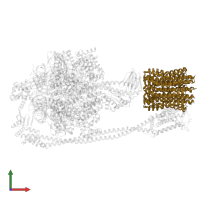 ATP synthase subunit c in PDB entry 6oqv, assembly 1, front view.