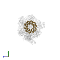 ATP synthase subunit c in PDB entry 6oqv, assembly 1, side view.
