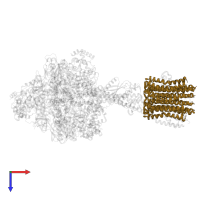 ATP synthase subunit c in PDB entry 6oqv, assembly 1, top view.