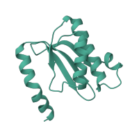 The deposited structure of PDB entry 6orl contains 1 copy of Pfam domain PF00861 (Ribosomal L18 of archaea, bacteria, mitoch. and chloroplast) in Large ribosomal subunit protein uL18. Showing 1 copy in chain O.