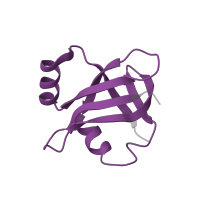 The deposited structure of PDB entry 6orl contains 1 copy of Pfam domain PF01386 (Ribosomal L25p family) in Large ribosomal subunit protein bL25. Showing 1 copy in chain V.