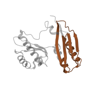 The deposited structure of PDB entry 6orl contains 1 copy of Pfam domain PF00189 (Ribosomal protein S3, C-terminal domain) in Small ribosomal subunit protein uS3. Showing 1 copy in chain GA [auth h].