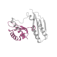 The deposited structure of PDB entry 6orl contains 1 copy of Pfam domain PF07650 (KH domain) in Small ribosomal subunit protein uS3. Showing 1 copy in chain GA [auth h].