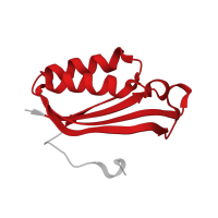 The deposited structure of PDB entry 6orl contains 1 copy of Pfam domain PF01250 (Ribosomal protein S6) in Small ribosomal subunit protein bS6, non-modified isoform. Showing 1 copy in chain JA [auth k].