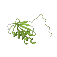 The deposited structure of PDB entry 6orl contains 1 copy of Pfam domain PF00411 (Ribosomal protein S11) in Small ribosomal subunit protein uS11. Showing 1 copy in chain OA [auth p].