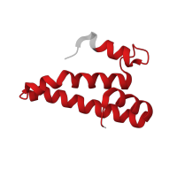 The deposited structure of PDB entry 6orl contains 1 copy of Pfam domain PF00312 (Ribosomal protein S15) in Small ribosomal subunit protein uS15. Showing 1 copy in chain SA [auth t].