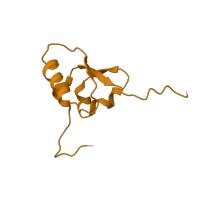 The deposited structure of PDB entry 6orl contains 1 copy of Pfam domain PF00203 (Ribosomal protein S19) in Small ribosomal subunit protein uS19. Showing 1 copy in chain WA [auth x].