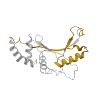 The deposited structure of PDB entry 6orl contains 1 copy of Pfam domain PF00281 (Ribosomal protein L5) in Large ribosomal subunit protein uL5. Showing 1 copy in chain G [auth E].