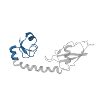 The deposited structure of PDB entry 6orl contains 1 copy of Pfam domain PF01281 (Ribosomal protein L9, N-terminal domain) in Large ribosomal subunit protein bL9. Showing 1 copy in chain I [auth G].