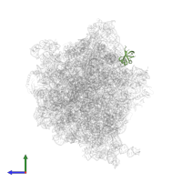 Large ribosomal subunit protein bL25 in PDB entry 6orl, assembly 1, side view.