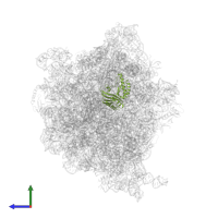 Small ribosomal subunit protein uS3 in PDB entry 6orl, assembly 1, side view.