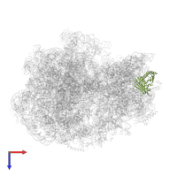 Small ribosomal subunit protein uS3 in PDB entry 6orl, assembly 1, top view.
