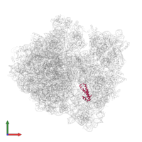 Small ribosomal subunit protein uS15 in PDB entry 6orl, assembly 1, front view.