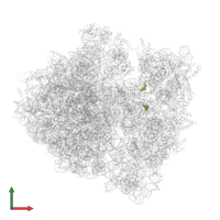 Modified residue 4OC in PDB entry 6orl, assembly 1, front view.