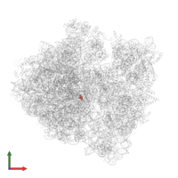 Modified residue OMU in PDB entry 6orl, assembly 1, front view.