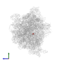 Modified residue OMU in PDB entry 6orl, assembly 1, side view.