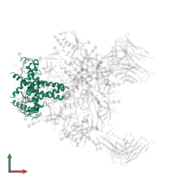 Transmembrane protein gp41 in PDB entry 6orn, assembly 1, front view.