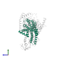 Neurotensin receptor type 1 in PDB entry 6osa, assembly 1, side view.