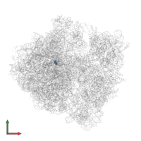 Modified residue OMG in PDB entry 6osk, assembly 1, front view.